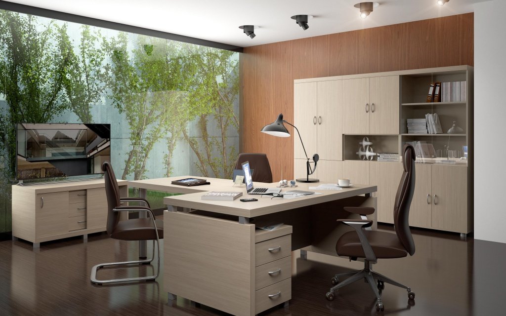 Кабинет руководителя Модерн - вид 2